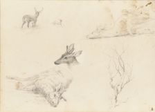 Sketchbook of Landscape and Animal Subjects, 1860-64. Creator: Thomas Hewes Hinckley