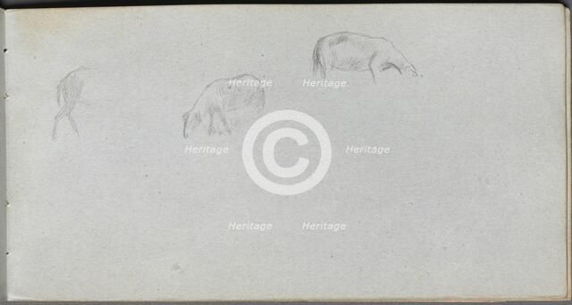 Sketchbook, page 20: Animal Study. Creator: Ernest Meissonier (French, 1815-1891).