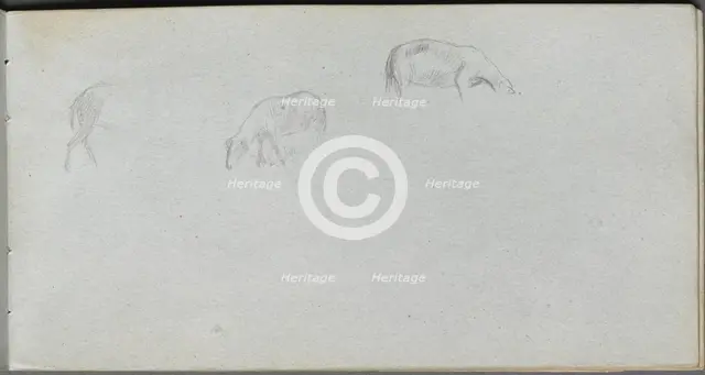 Sketchbook, page 20: Animal Study. Creator: Ernest Meissonier (French, 1815-1891).