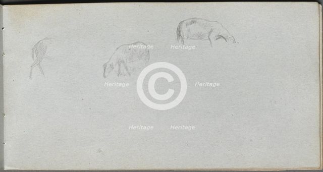Sketchbook, page 20: Animal Study. Creator: Ernest Meissonier (French, 1815-1891).