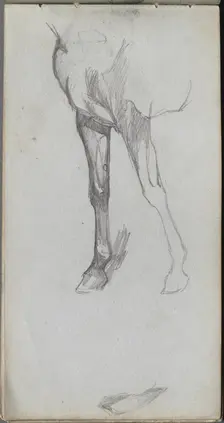 Sketchbook, page 66: Study of a Horse. Creator: Ernest Meissonier (French, 1815-1891)