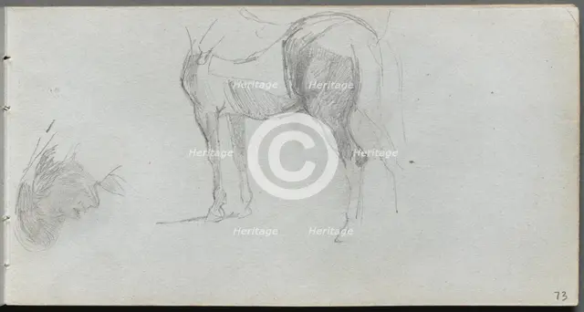 Sketchbook, page 73: Study of a Horse, profile. Creator: Ernest Meissonier (French, 1815-1891).