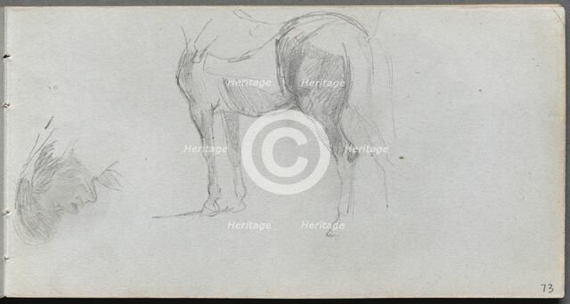 Sketchbook, page 73: Study of a Horse, profile. Creator: Ernest Meissonier (French, 1815-1891).