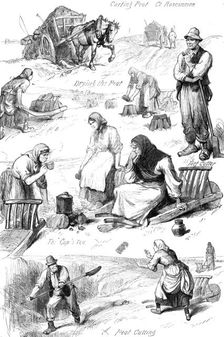 Sketches among the Irish peasantry: winter fuel, 1881. Creator: Unknown