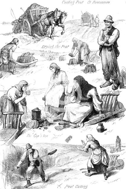 Sketches among the Irish peasantry: winter fuel, 1881. Creator: Unknown.