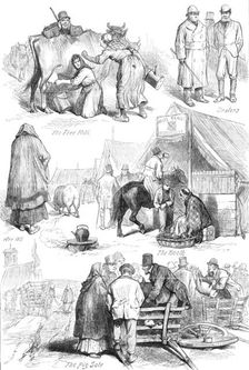 Sketches at an Irish cattle fair, 1881. Creator: Unknown