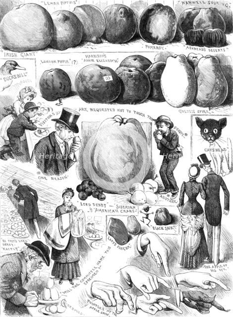 Sketches at the Apple Congress at Chiswick, 1883. Creator: Unknown.