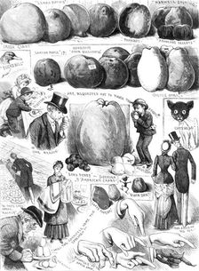 Sketches at the Apple Congress at Chiswick, 1883. Creator: Unknown