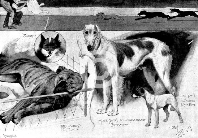Sketches at the Ladies' Kennel Association's first show, at the Ranelagh Club, Barn Elms, 1895. Creator: Plummer & Co.