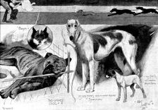 Sketches at the Ladies Kennel Association's first show, at the Ranelagh Club, Barn Elms, 1895. Creator: Plummer & Co