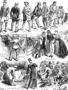 Sketches at the Smithfield Club Cattle Show, 1881. Creator: Unknown