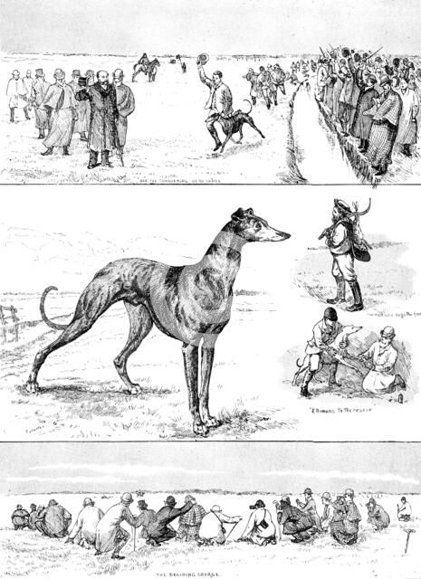 Sketches at the Waterloo Cup Meeting, 1890. Creator: Unknown.