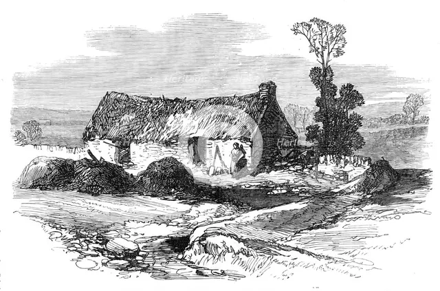 Sketches from Ireland: Mike Brannan's cabin in the Hundred Acres Bog, 1870. Creator: Unknown.