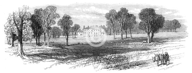 Sketches from Ireland: Balrath, County Meath, the seat of Mr. Nicholson, 1870. Creator: Unknown.