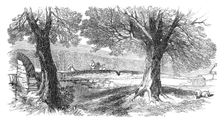 Sketches from Ireland: place where Mr. Nicholson was fired at, 1870. Creator: Unknown