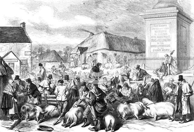 Sketches from Ireland: the Pig Fair at Trim, County Meath, 1870. Creator: Unknown.