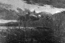 Sketches in Australia - Aboriginal Mode of the Disposal of the Dead, 1857. Creator: Unknown