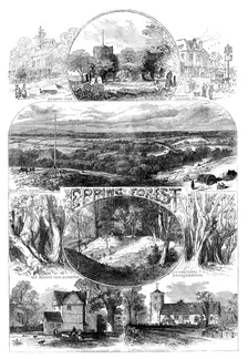 Sketches in Epping Forest, 1871. Creator: Unknown