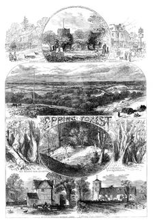 Sketches in Epping Forest, 1871. Creator: Unknown