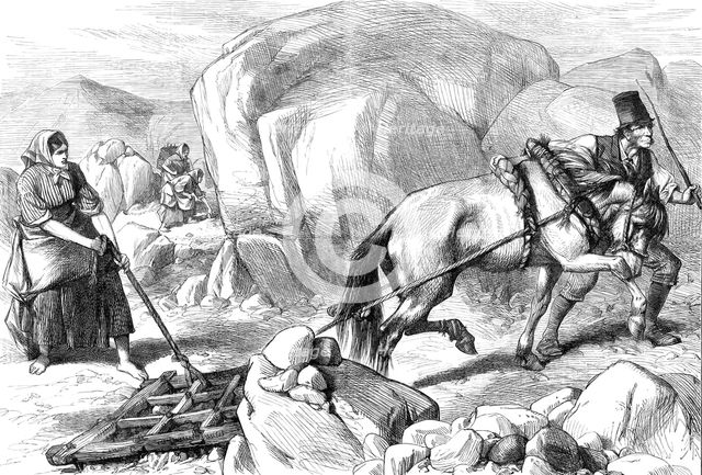 Sketches in Ireland: harrowing under difficulties, mountain farm in County Mayo, 1880. Creator: Unknown.