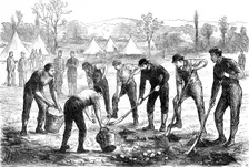 Sketches in Ireland: Property Defence Association: digging potatoes at Woodgyft, Co. Kilkenny, 1881. Creator: Unknown