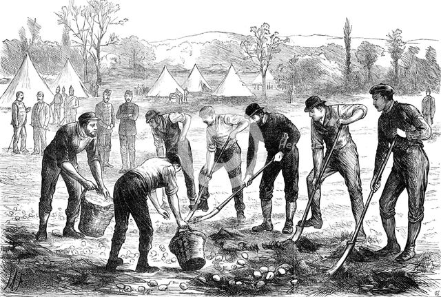 Sketches in Ireland: Property Defence Association: digging potatoes at Woodgyft, Co. Kilkenny, 1881. Creator: Unknown.