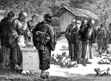 Sketches in Japan: feeding puppy-dogs at the Buddhist Temple of Oyama, 1873. Creator: Unknown
