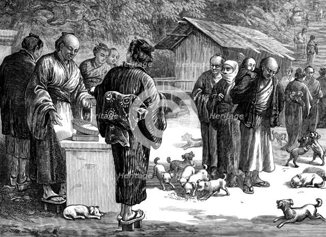 Sketches in Japan: feeding puppy-dogs at the Buddhist Temple of Oyama, 1873. Creator: Unknown.