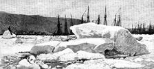 Sketches in Newfoundland: early Spring in St. John’s Harbour, 1890. Creator: Unknown