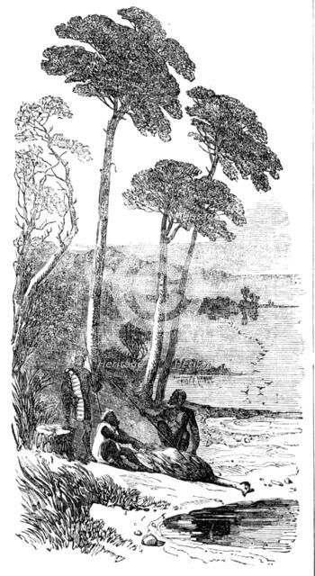 Sketches in Southern Australia - the Dead Emu, 1857. Creator: Unknown.