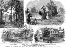 'Sketches in Waterlow Park, which has been Presented to the Public by Sir Sydney Waterlow 1891. Creator: Unknown