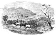 Sketches in Western Australia - Culham, in the Upper Valley of the Swan, 1857. Creator: Unknown