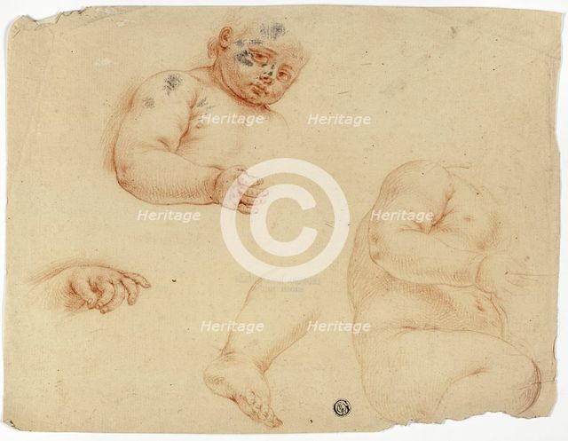Sketches of a Child:  Half-Length, Torso, Foot, Hand, 1700/1799. Creator: Unknown.
