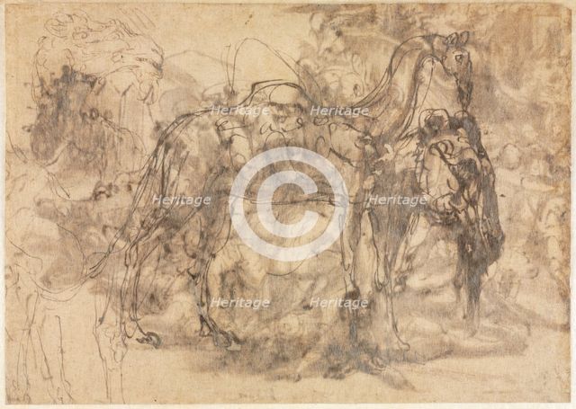 Sketches of Animals (verso), c. 1545/47. Creator: Perino del Vaga (Italian, 1500/01-1547).