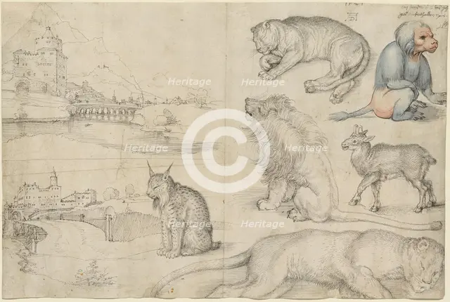 Sketches of Animals and Landscapes, 1521. Creator: Dürer, Albrecht (1471-1528).