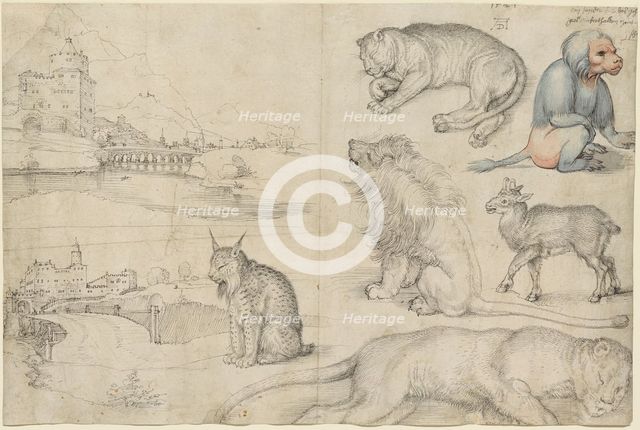 Sketches of Animals and Landscapes, 1521. Creator: Dürer, Albrecht (1471-1528).