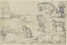 Sketches of Animals and Landscapes, 1521. Creator: Dürer, Albrecht (1471-1528)