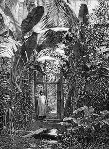 Sketches of Annam, Cochin China: village pathway, 1883. Creator: Kemp