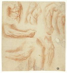 Sketches of Arms, Male Torso, and Back, n.d. Creator: Unknown