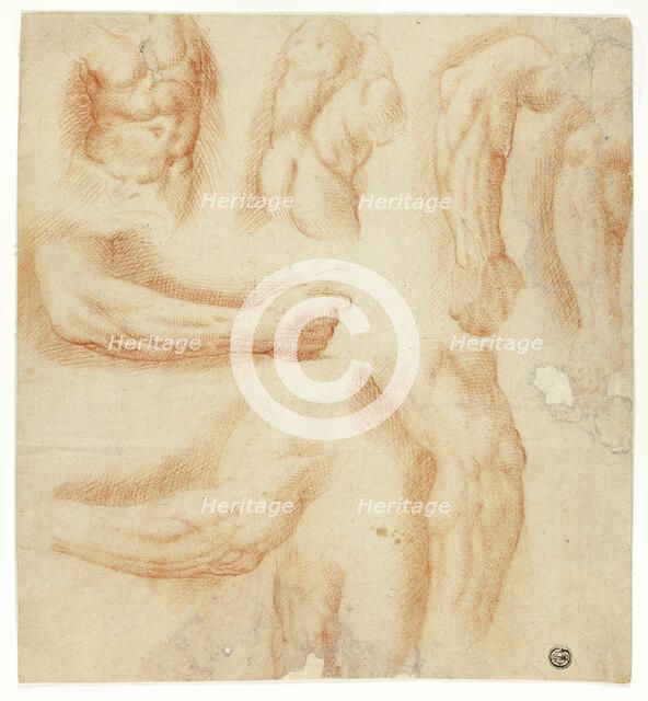 Sketches of Arms, Male Torso, and Back, n.d. Creator: Unknown.