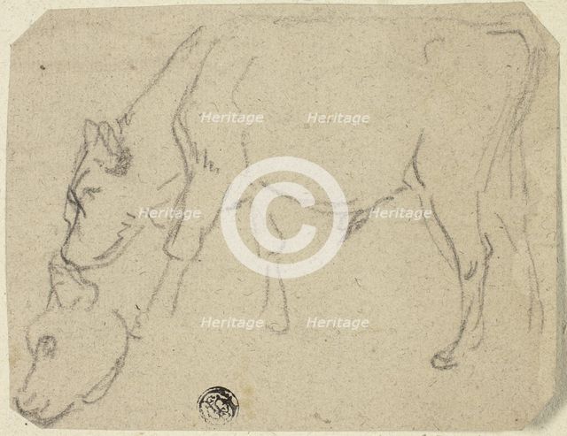 Sketches of Grazing Bull, Cow's Head (recto); Seated Cow in Profile (verso), n.d. Creator: Unknown.