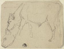 Sketches of Grazing Bull, Cow's Head (recto); Seated Cow in Profile (verso), n.d. Creator: Unknown