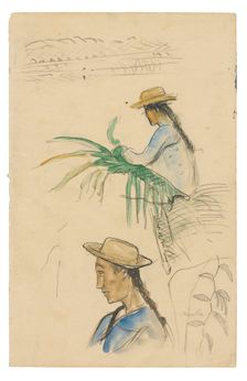 Sketches of Figures, Pandanus Leaf, and Vanilla Plant, 1891/93. Creator: Paul Gauguin
