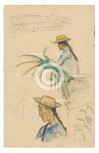 Sketches of Figures, Pandanus Leaf, and Vanilla Plant, 1891/93. Creator: Paul Gauguin.