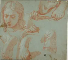 Sketches of Head, Hands, Shoulder, and Feet, n.d. Creator: Unknown