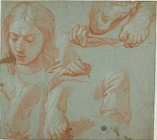 Sketches of Head, Hands, Shoulder, and Feet, n.d. Creator: Unknown
