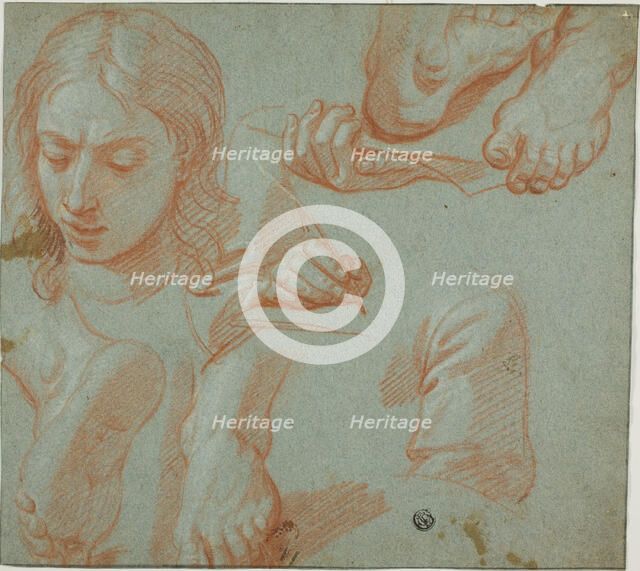 Sketches of Head, Hands, Shoulder, and Feet, n.d. Creator: Unknown.