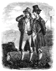 Sketches of Irish Character - "The Irish Cow Doctor" - drawn by E. Fitzpatrick, 1857. Creator: Unknown