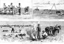 'Sketches of Life on an Estancia in the Argentine Republic; work on the Pampas 1891. Creator: Unknown