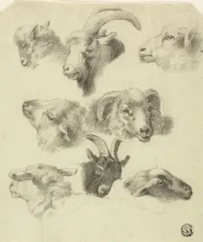 Sketches of Mountain Sheep, n.d. Creators: Charles Landseer, Edwin Henry Landseer